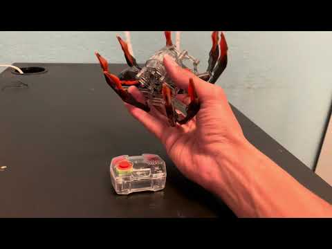 Robot Spider Toys for Kids