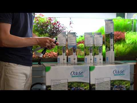 Watch Video on YouTube