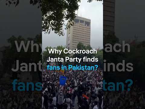Why the Cockroach Janta Party is finding fans in Pakistan | DW News