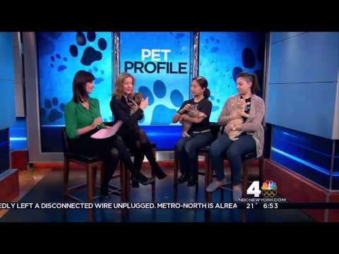 Contessa Brewer pantyhose legs & high heels (1-25-14)