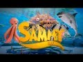 Sammy Co Theme Song