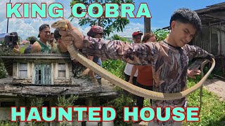 KING COBRA SA HAUNTED HOUSE