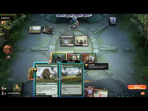 gruul aggro intense