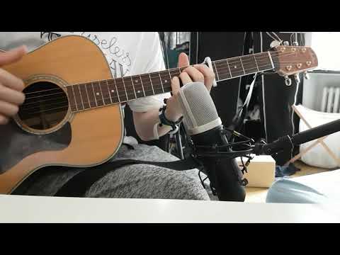 RHCP - Otherside, Solo Acoustic Guitar [arr. Eddie van der Meer]