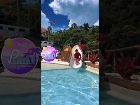 La casa en el Árbol Génova Quindío- Viajes Púrpura Centro Comercial Calima