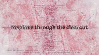 Musik-Video-Miniaturansicht zu Foxglove Through The Clearcut Songtext von Death Cab for Cutie