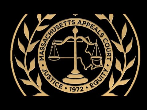 February 11, 2021 Oral Arguments (A4)