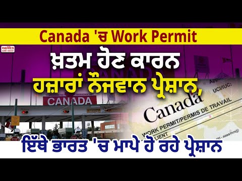 Canada 'ਚ Work Permit ਖ਼ਤਮ ਹੋਣ ਕਾਰਨ ਹਜ਼ਾਰਾਂ ਨੌਜਵਾਨ ਪ੍ਰੇਸ਼ਾਨ,ਇੱਥੇ ਭਾਰਤ 'ਚ ਮਾਪੇ ਹੋ ਰਹੇ ਪ੍ਰੇਸ਼ਾਨ
