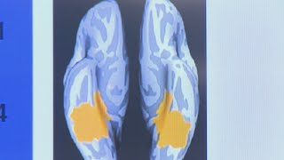 UT study hopes to help people forget traumatic memories