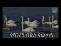 ethiopian ያሻገረኝ በድል ያወጣኝ mezmur