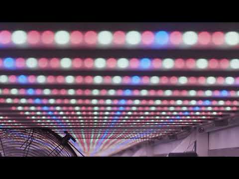 廚房 照明