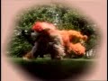Sesame Street Dreams 1996