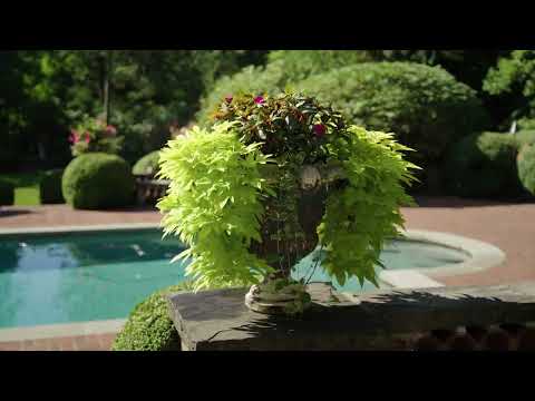 Landscape Design & Installation - 1 Sam Bridge Nursery & Greenhouse