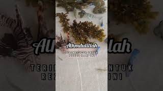 Download lagu Story wa mp3