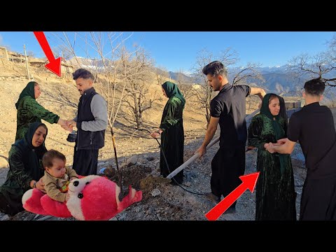 Nomadic Life: Nomadic New Beginnings 🌳| From nomadic Argument to Planting Hope🌺