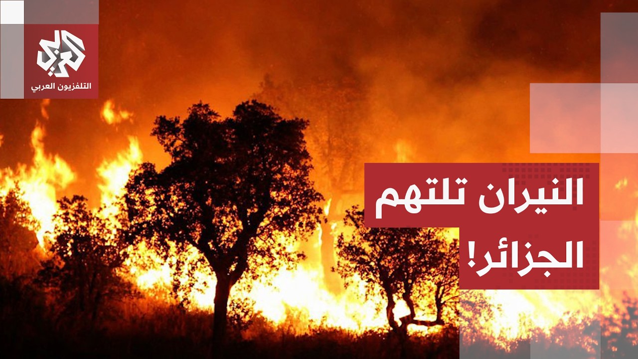 الرئيس تبون يعلن الحداد الوطني.. حصيلة ثقيلة لحرائق الغابات بالجزائر وعمليات