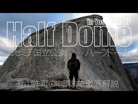 Nuvola アプリの日付.svg