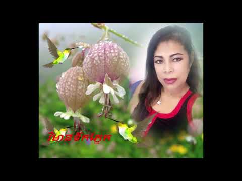 វិមានទឹកភ្នែក / Vimean Tek Pnek  / By Eng Nary