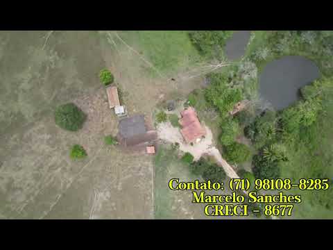 Excelente Oportunidade, Sítio em Minas Gerais! 🌾