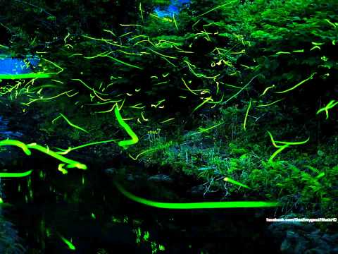 Svyatoslav Maltsev - Believe Again (Original Mix)