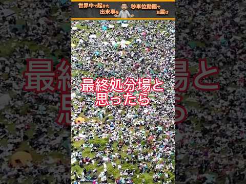 段ボールは庭に適していますか？