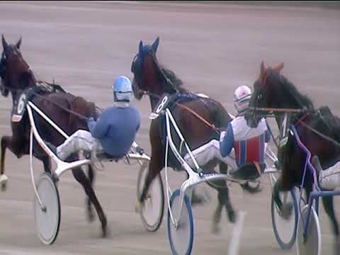 Trotto 29/01/2019 - 2ª corsa