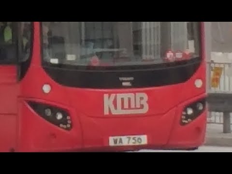 Happy Alex Blaze Brandon And Dominic Day (Request By Alex Bartolo )