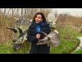 Welkom bij Rijnmond - donderdag 3 december 2020
