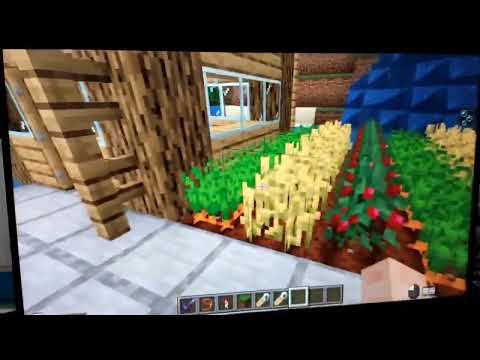 新市國小 麥塊SDGs聯合國永續發展目標 陳O宇-麥塊SDGs程式競賽-113學年第一學期