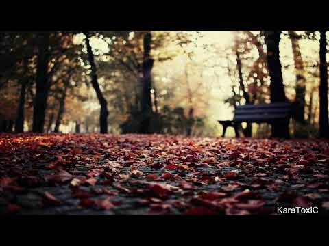 Shahzoda feat.Akcent - All Alone #beautiful #song