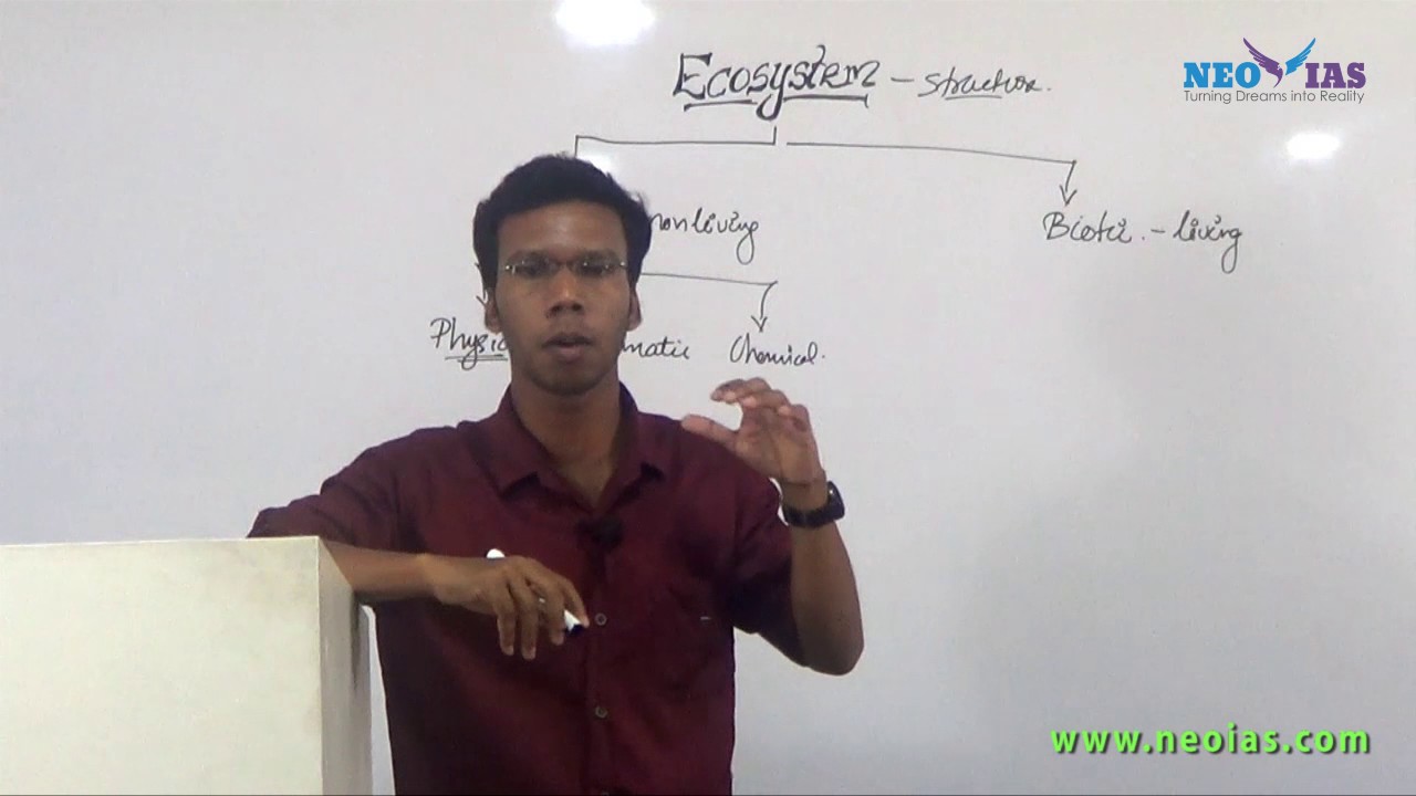 Ecosystem | Environmental Science | NEO IAS