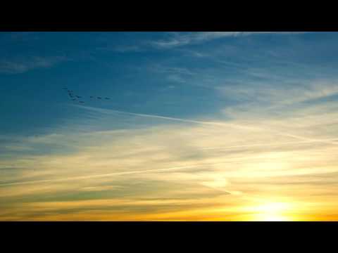 Calavera & Manya Feat  Maja Aleksic  -  Seta (Igor Krsmanovic Remix)  hq