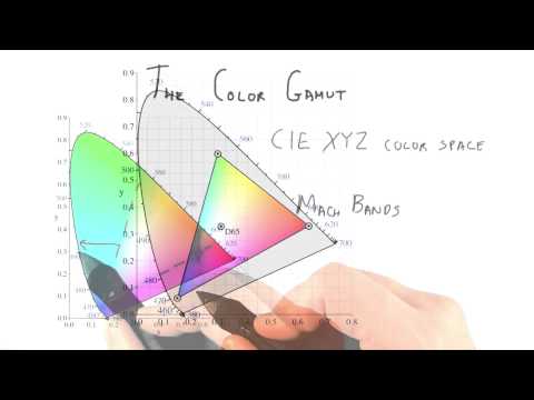 Introduction Interactive 3D Graphics