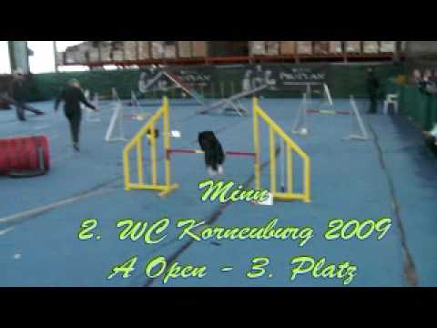 Minn 2. WC Korneuburg 2009 A Open