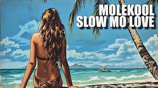 Molekool Music - Slow Mo Love [Official Music Video]