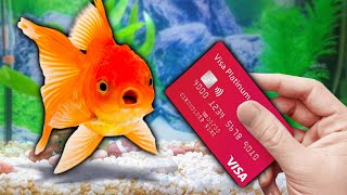 I Gave My Goldfish My Credit Card to Spend