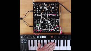 Adding more than just repeats with Strega's Decay control! 🧙 ⚡