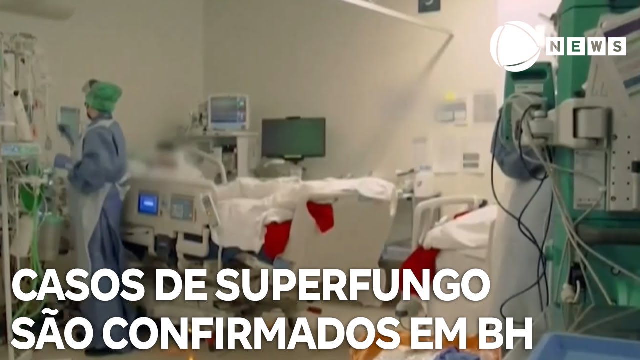 Quatro casos de superfungo são confirmados em Belo Horizonte