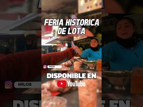 #Lota #FeriaDeLota #Biobío #Chile #MiloskiTV