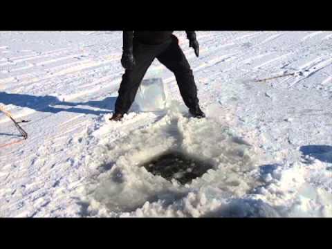 Spearfishing American Eel Through the Ice