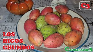 LOS HIGOS CHUMBOS (PELIGROSAMENTE DELICIOSOS)