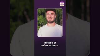 Who controls the reflex actions? #humanbodyshorts