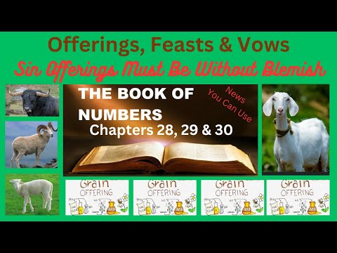 Numbers 28 29 30 : Offerings Feasts and Vows