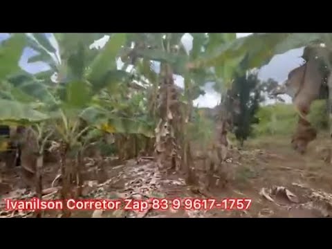 SÍTIO Á VENDA 2 HECTARES EM ALAGOA NOVA PB ZAP 83 9 9967-0660 / 99617-1757 IVANILSON CORRETOR 