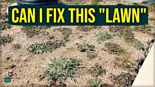 Can I FIX This HORRIBLE Lawn?!? // Lawn Rescue Episode 1