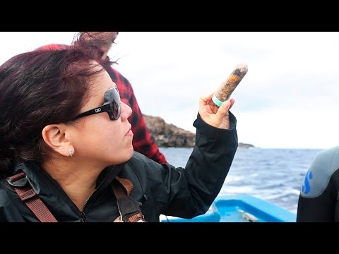 USM - Investigadores buscan Actinobacterias marinas