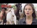 Wild Horse Stampede Free Rein Netflix Family