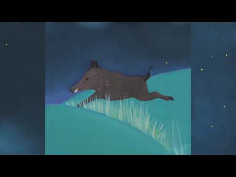 Video thumbnail for Il cinghiale