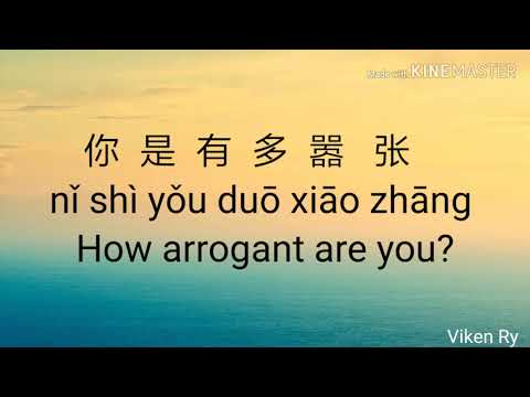 嚣张 Xiāo Zhāng (Arrogant) Lyrics 歌詞 With Pinyin & English Translation