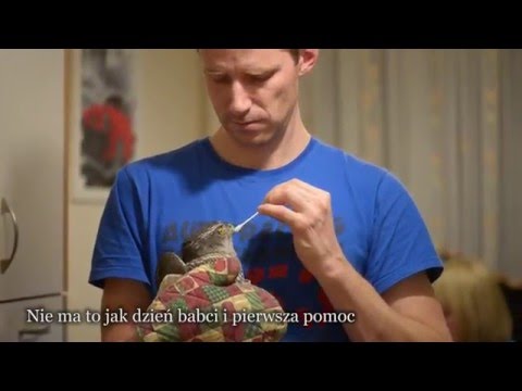 NA RATUNEK JASTRZĘBIOWI - Gmina Zdzieszowice